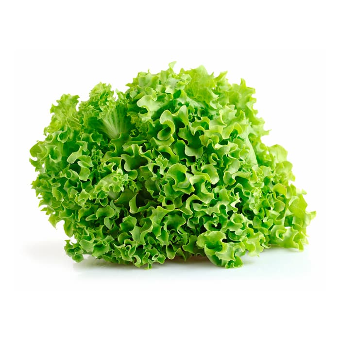 Lechuga
